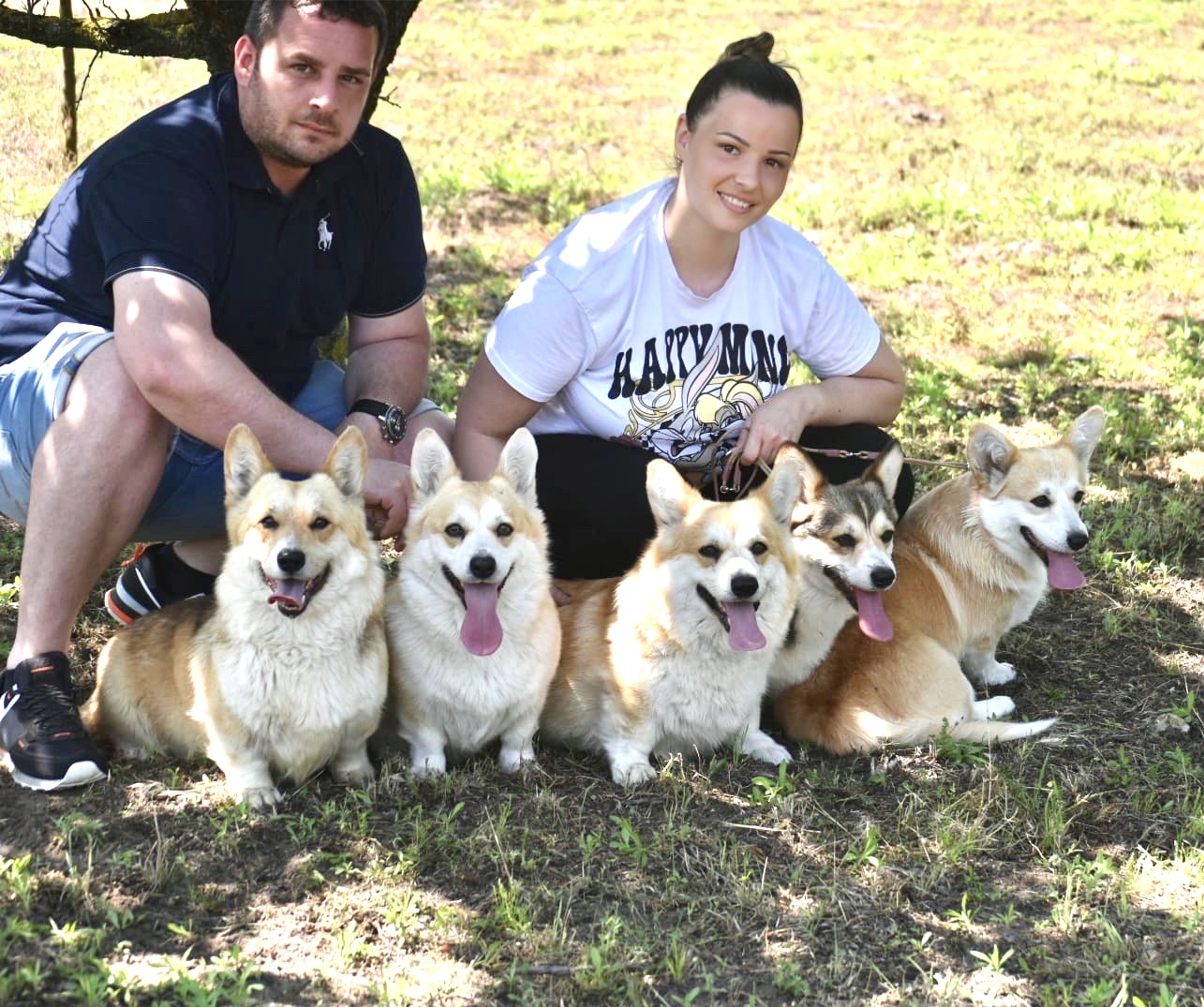 Corgi